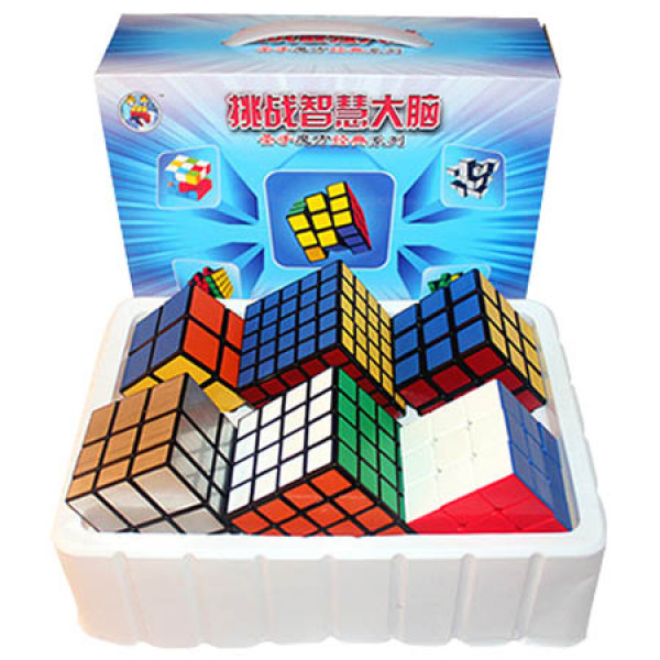 ShengShou 6 Magic Cubes Bundle - 2x2 3x3 4x4 5x5 Mirror Cube