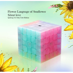 QiYi cube transparent Jelly colour series of 5x5